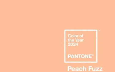 Scopri i Quadri su Tela in Tonalità Peach Fuzz: Colore Pantone dell'Anno 2024 - CupidoDesign