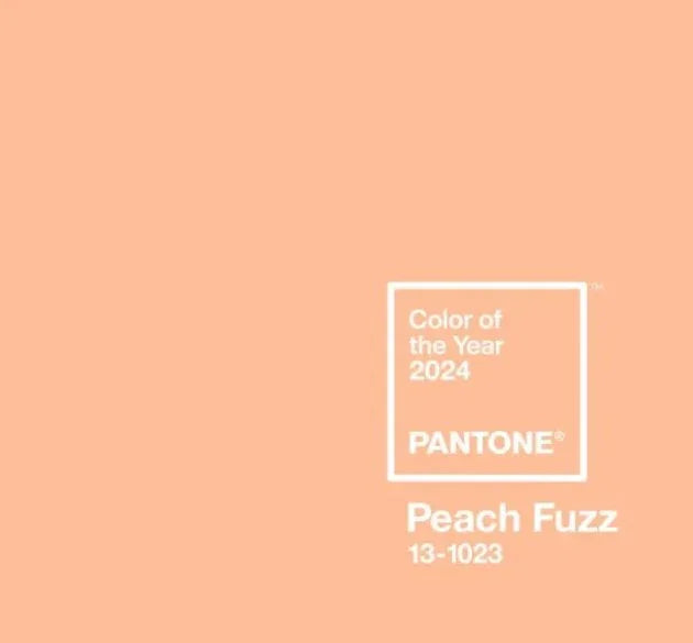 Scopri i Quadri su Tela in Tonalità Peach Fuzz: Colore Pantone dell'Anno 2024 - CupidoDesign