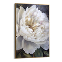 Quadro Stampa su Tela Bianchi Petali - CupidoDesign