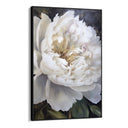 Quadro Stampa su Tela Bianchi Petali - CupidoDesign