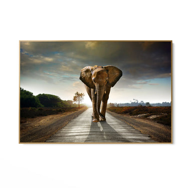 Quadro Stampa su Tela Cammino Solenne - CupidoDesign