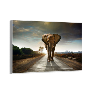 Quadro Stampa su Tela Cammino Solenne - CupidoDesign