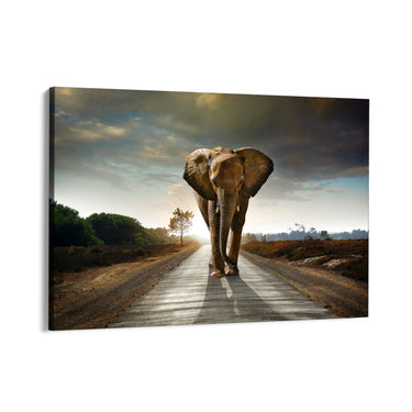 Quadro Stampa su Tela Cammino Solenne - CupidoDesign