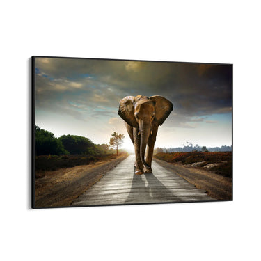 Quadro Stampa su Tela Cammino Solenne - CupidoDesign