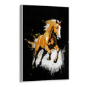 Quadro Stampa su Tela Cavallo Dorato - CupidoDesign