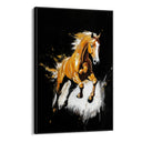Quadro Stampa su Tela Cavallo Dorato - CupidoDesign
