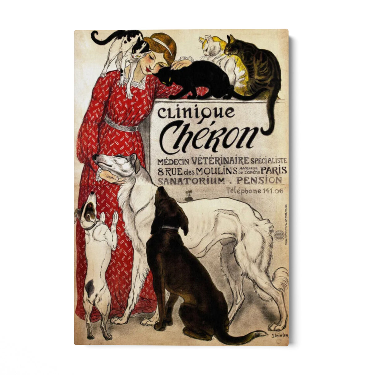 Quadro Stampa su Tela Clinique Chéron, Théophile Steinlen - CupidoDesign