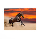 Quadro Stampa su Tela Furia al tramonto - CupidoDesign