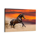 Quadro Stampa su Tela Furia al tramonto - CupidoDesign