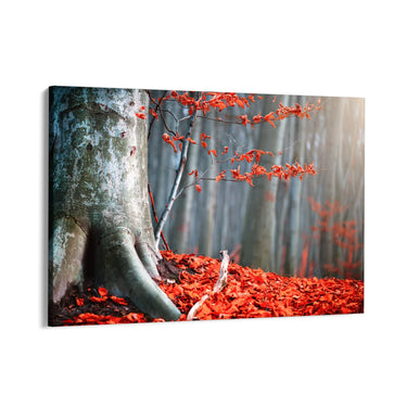 Quadro Stampa su Tela Il respiro del bosco - CupidoDesign