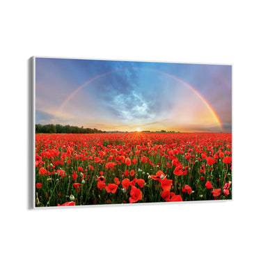 Quadro Stampa su Tela Papaveri dell’infinito - CupidoDesign