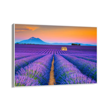 Quadro Stampa su Tela Profumo di infinito, Provenza - CupidoDesign