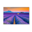 Quadro Stampa su Tela Profumo di infinito, Provenza - CupidoDesign