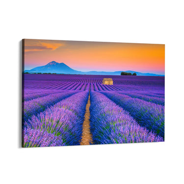 Quadro Stampa su Tela Profumo di infinito, Provenza - CupidoDesign