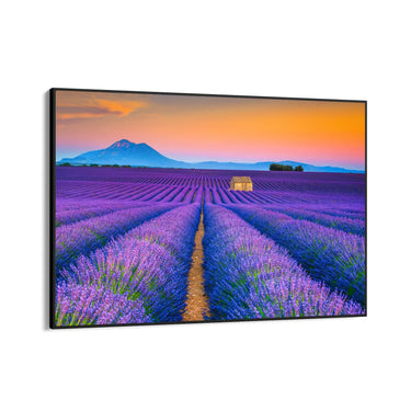 Quadro Stampa su Tela Profumo di infinito, Provenza - CupidoDesign