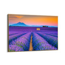 Quadro Stampa su Tela Profumo di infinito, Provenza - CupidoDesign