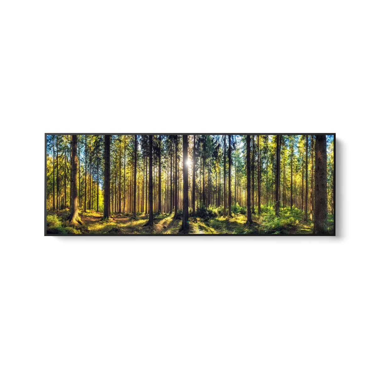 Quadro Stampa su Tela Respiro Verde - CupidoDesign