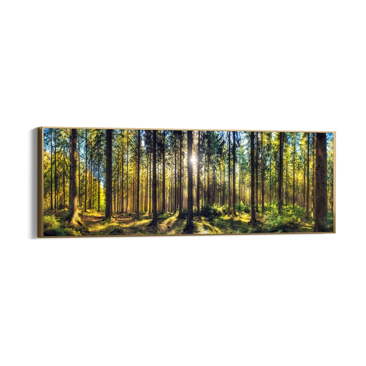 Quadro Stampa su Tela Respiro Verde - CupidoDesign