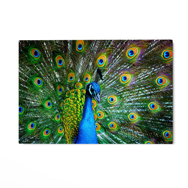 Quadro Stampa su Tela Sinfonia di piume - CupidoDesign