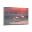 Quadro Stampa su Tela Sogno tropicale - CupidoDesign