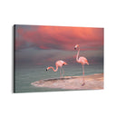 Quadro Stampa su Tela Sogno tropicale - CupidoDesign