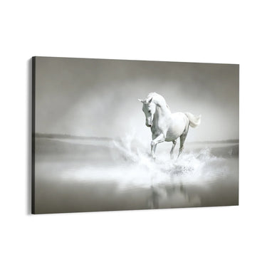 Quadro Stampa su Tela Spirito libero - CupidoDesign