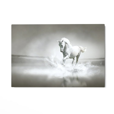 Quadro Stampa su Tela Spirito libero - CupidoDesign