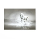 Quadro Stampa su Tela Spirito libero - CupidoDesign