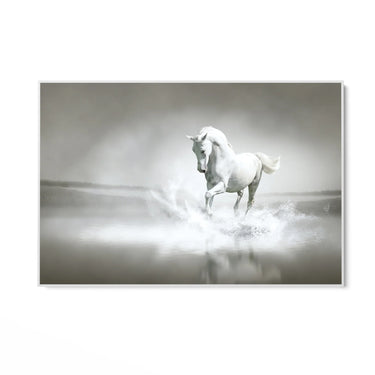 Quadro Stampa su Tela Spirito libero - CupidoDesign