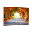 Quadro Stampa su Tela Verso la luce - CupidoDesign