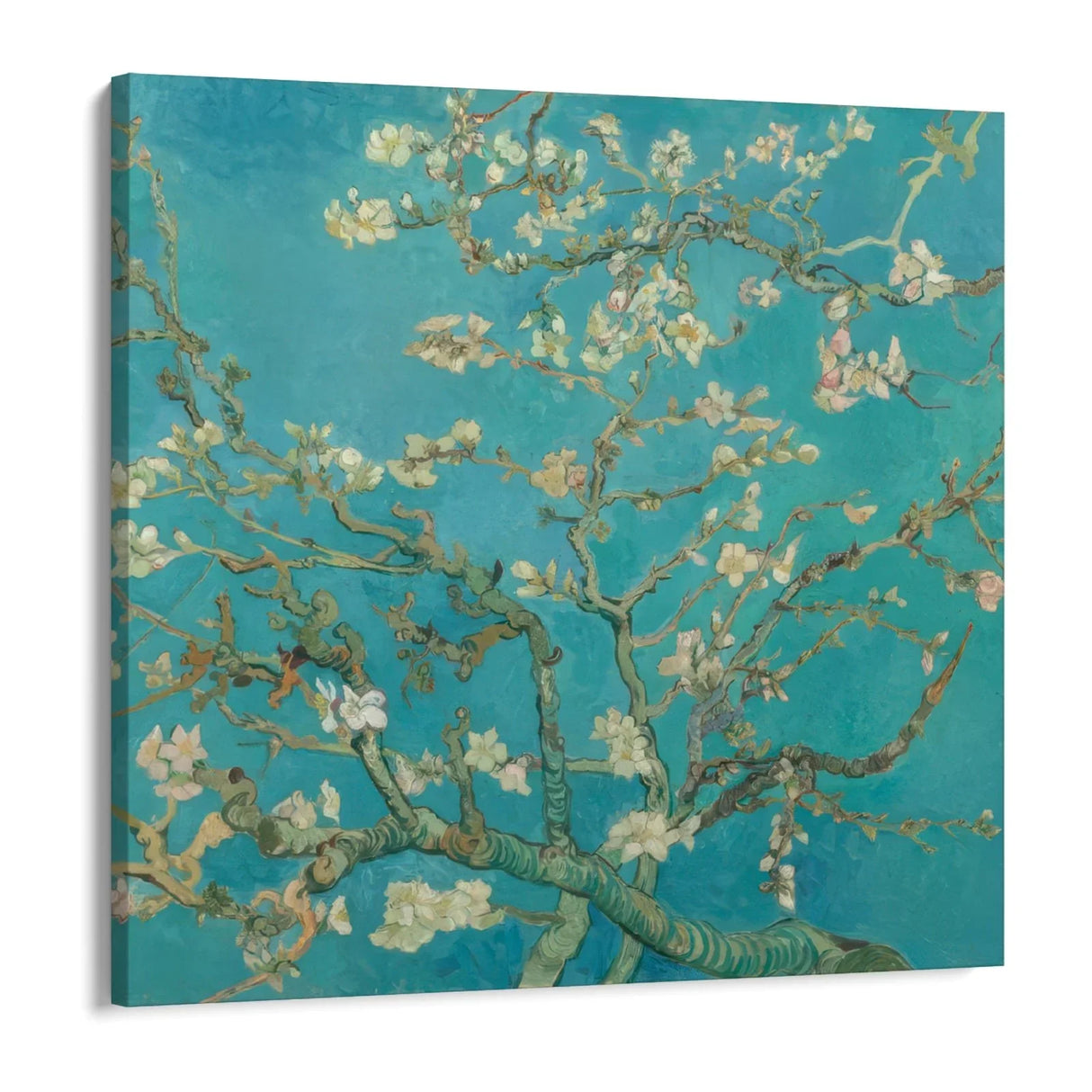 Quadro Stampa su Tela Almond Blossom, Vincent Van Gogh - CupidoDesign