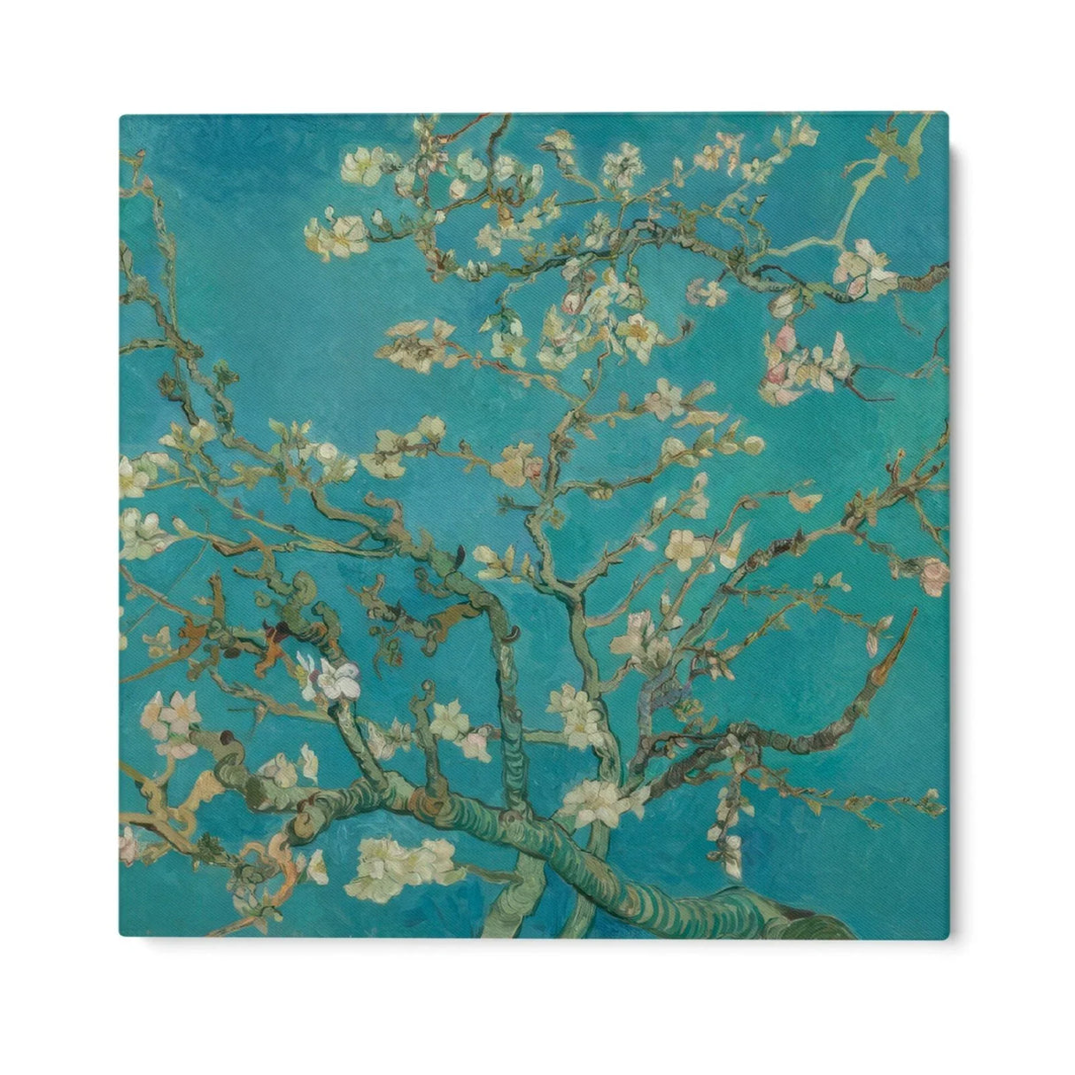 Quadro Stampa su Tela Almond Blossom, Vincent Van Gogh - CupidoDesign