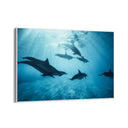 Quadro Stampa su Tela Armonia Acquatica - CupidoDesign