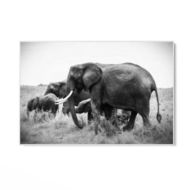 Quadro Stampa su Tela Armonia Grigia - CupidoDesign