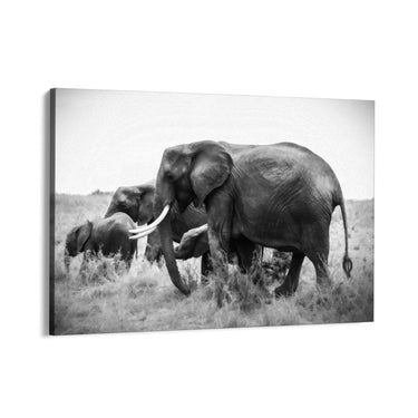 Quadro Stampa su Tela Armonia Grigia - CupidoDesign