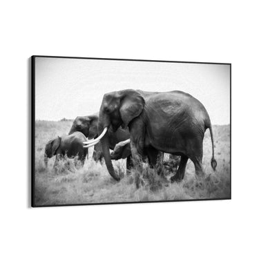 Quadro Stampa su Tela Armonia Grigia - CupidoDesign