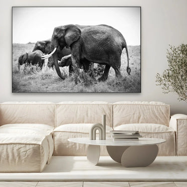 Quadro Stampa su Tela Armonia Grigia - CupidoDesign