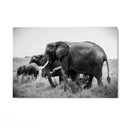 Quadro Stampa su Tela Armonia Grigia - CupidoDesign