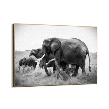 Quadro Stampa su Tela Armonia Grigia - CupidoDesign