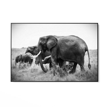 Quadro Stampa su Tela Armonia Grigia - CupidoDesign