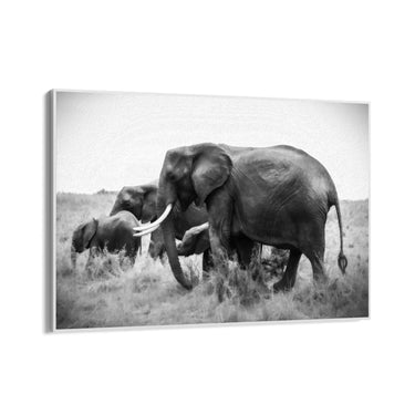 Quadro Stampa su Tela Armonia Grigia - CupidoDesign