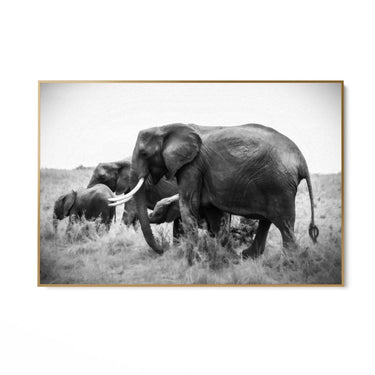 Quadro Stampa su Tela Armonia Grigia - CupidoDesign