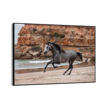 Quadro Stampa su Tela Balzo di Libertà - CupidoDesign