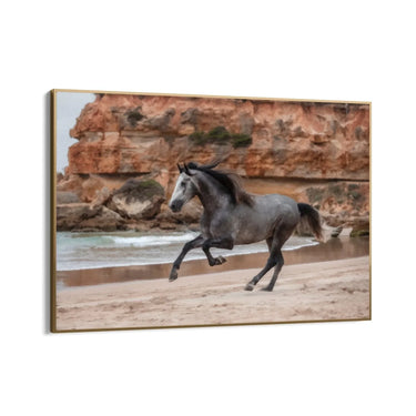 Quadro Stampa su Tela Balzo di Libertà - CupidoDesign