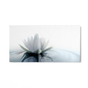 Quadro Stampa su Tela Calma Naturale - CupidoDesign