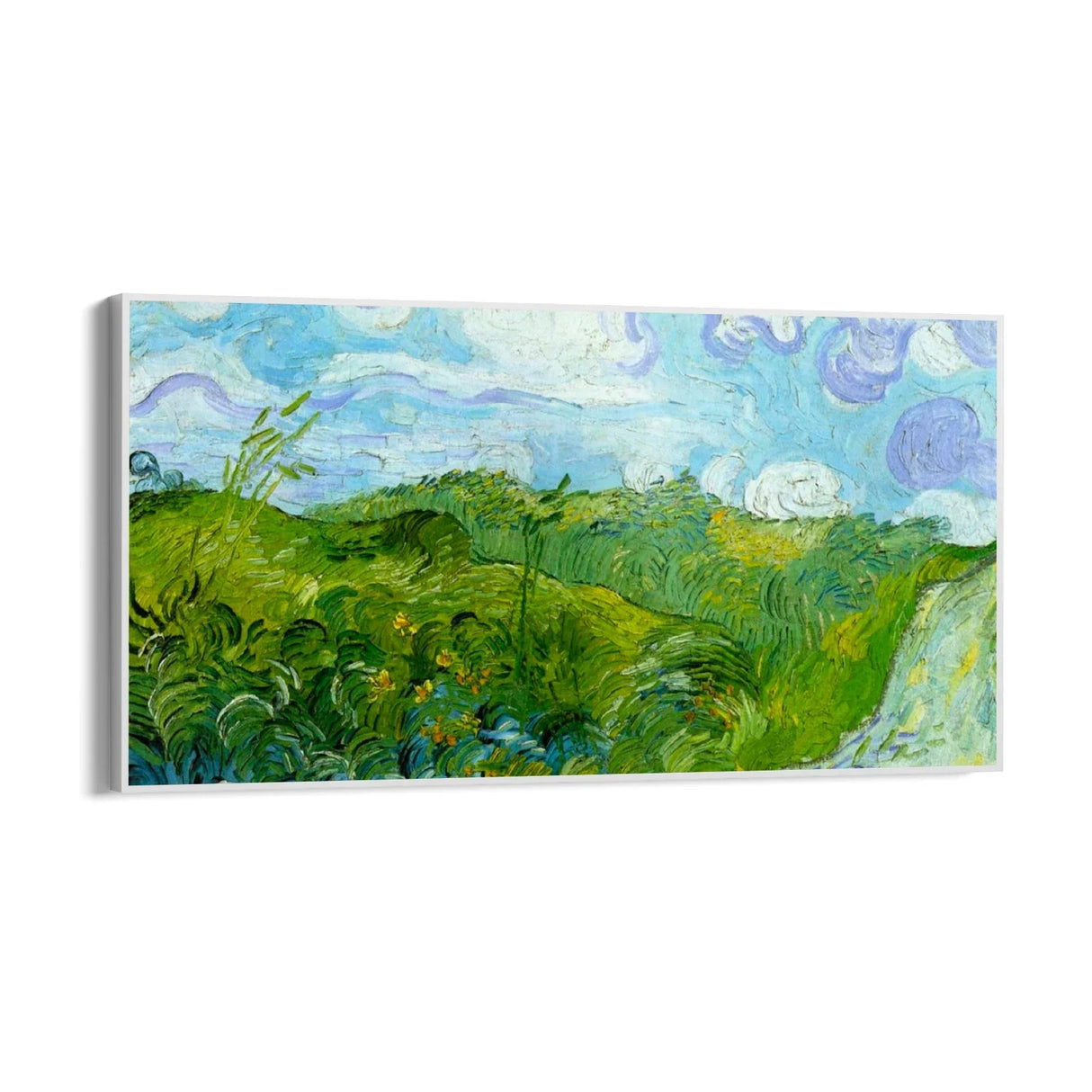 Quadro Stampa su Tela Campi di grano verde, Vincent Van Gogh - CupidoDesign