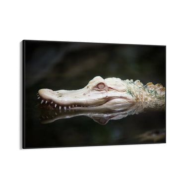 Quadro Stampa su Tela Canti degli Alligatori - CupidoDesign