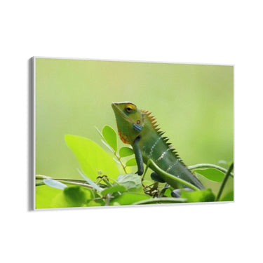 Quadro Stampa su Tela Canto delle Zampe Veloci - CupidoDesign