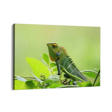 Quadro Stampa su Tela Canto delle Zampe Veloci - CupidoDesign