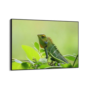 Quadro Stampa su Tela Canto delle Zampe Veloci - CupidoDesign